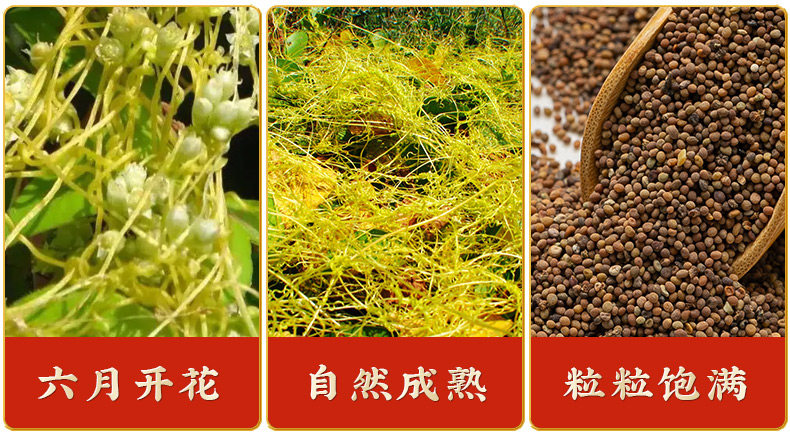Sha Yuan Zi Cuscuta Seed Tea Blend 500g Dried Astragalus and Dodder Seeds for Daily Herbal Infusion specifications