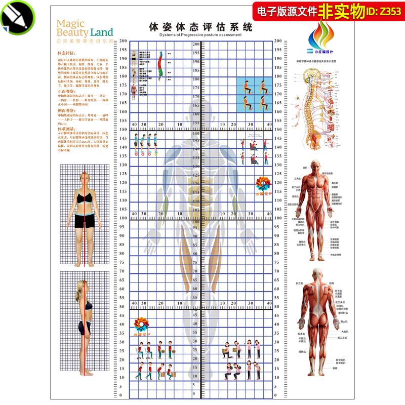 Posture and Body Posture Assessment System, Body Measurement Tools, Sports Health Management, Health and Wellness, Body Posture Assessment Materials