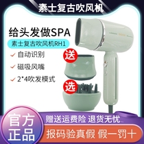 Vegetarian Retro Hair Dryer Domestic Negative Ion Protection Power Generation Blow Wind-Dryer High Power Quick Dry Scalp Massage Small Skyscraper