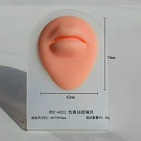 Rs1-4022 имитация силиконового рта, модель с отделкой из пищевого силикона, поставляемая в случайных цветах