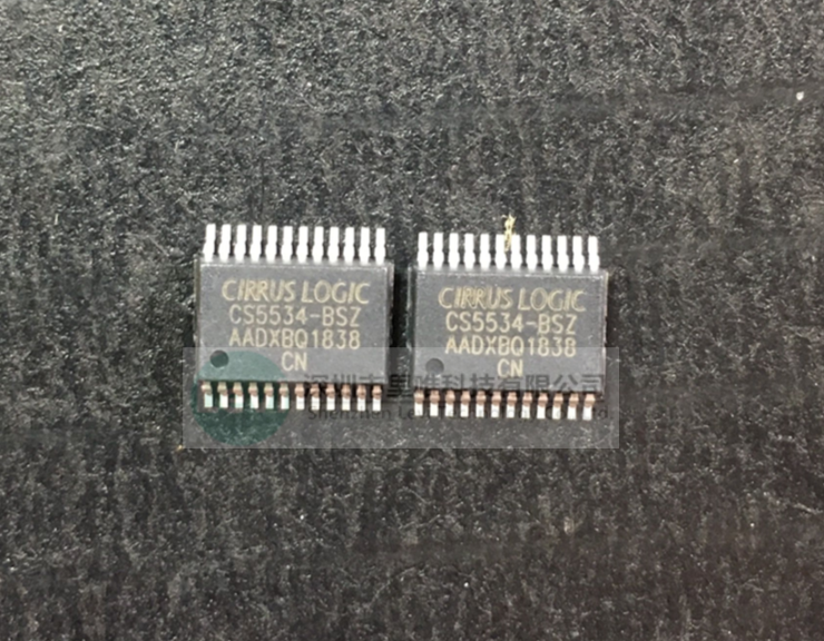 CS5534-BSZ SSOP24 New CS5534BSZ Patch
