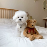 Собачья одежда Тедди Бишон Медведь Померанский Шнаузер маленький щенок Pet Pet Cat 2023 Осенний и Зимний Новый Бархатный жилет