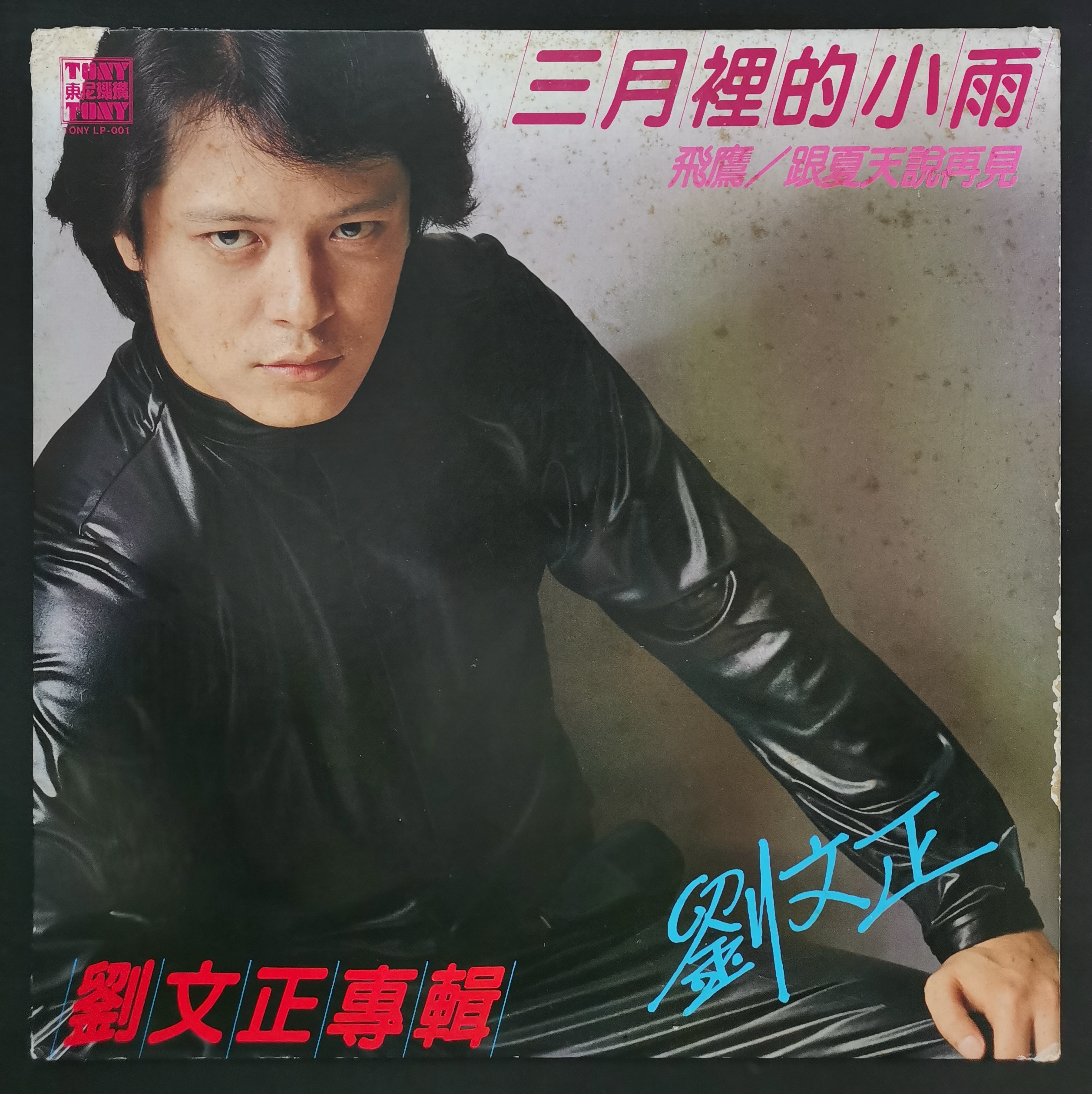 刘文正三月里的小雨飞鹰跟夏天说再见黑胶唱片LP