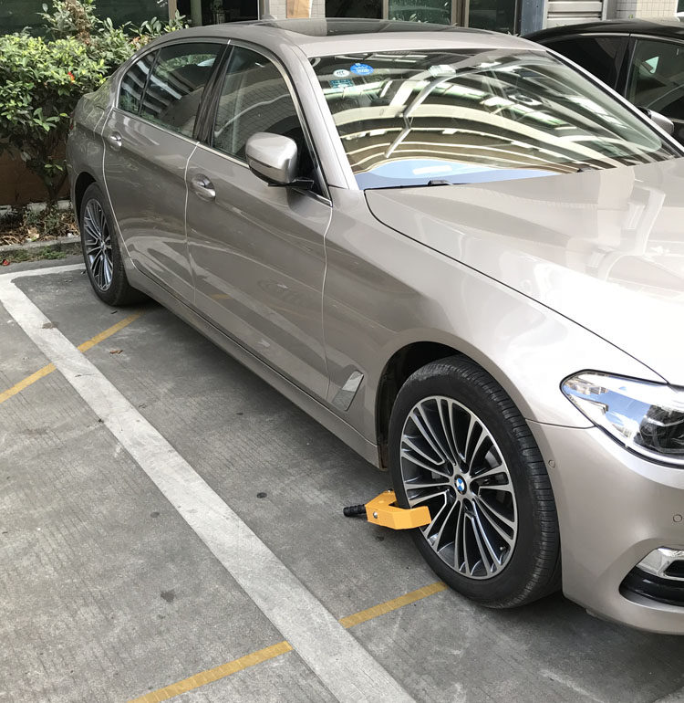 Shandong weifang.jpg