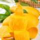 Hainan Jinhuang Mango 10Jin [Jin is equal to 0.5 kg] Fresh Narcissus Mango Seasonal FCL Fruit Extra Large Tropical Mango Sweetheart Green