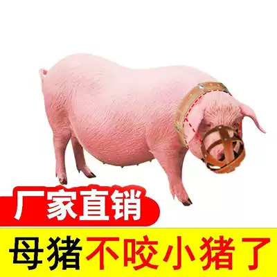 Sow mouth cover, anti-bite cover, pig mouth cover, pig mouth cover, pig mouth cover, pig mouth cover, pig mouth cover, pig mouth cover, pig mouth cover, pig mouth cover, pig mouth cover, pig mouth cover, pig mouth cover, pig mouth cover
