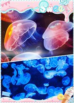 Jellyfish live jellyfish live jellyfish live jellyfish tank Valentines Day gift