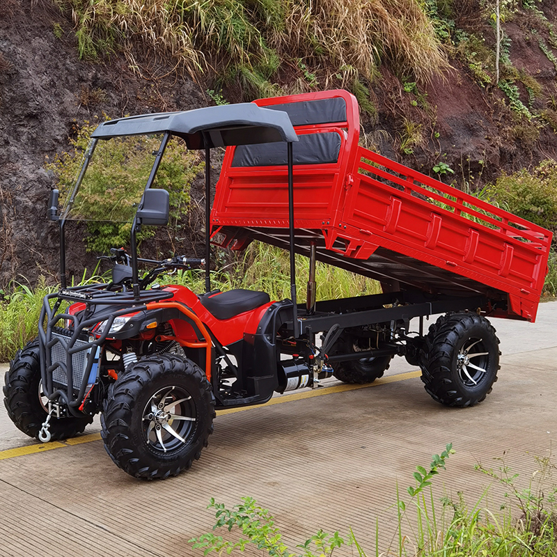 Xuanshuo Big Bull BEACH CAR Farmer Car 250cc300cc350cc360cc With Bucket 4WD Off-Road Agricultural Vehicle