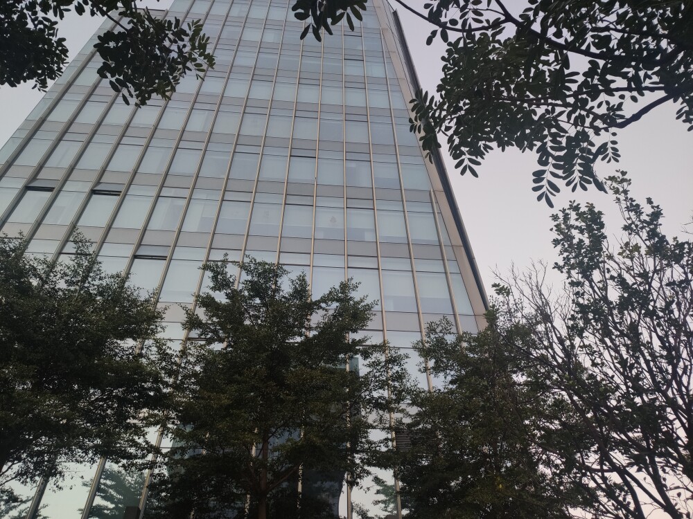 是你的小晴的1314