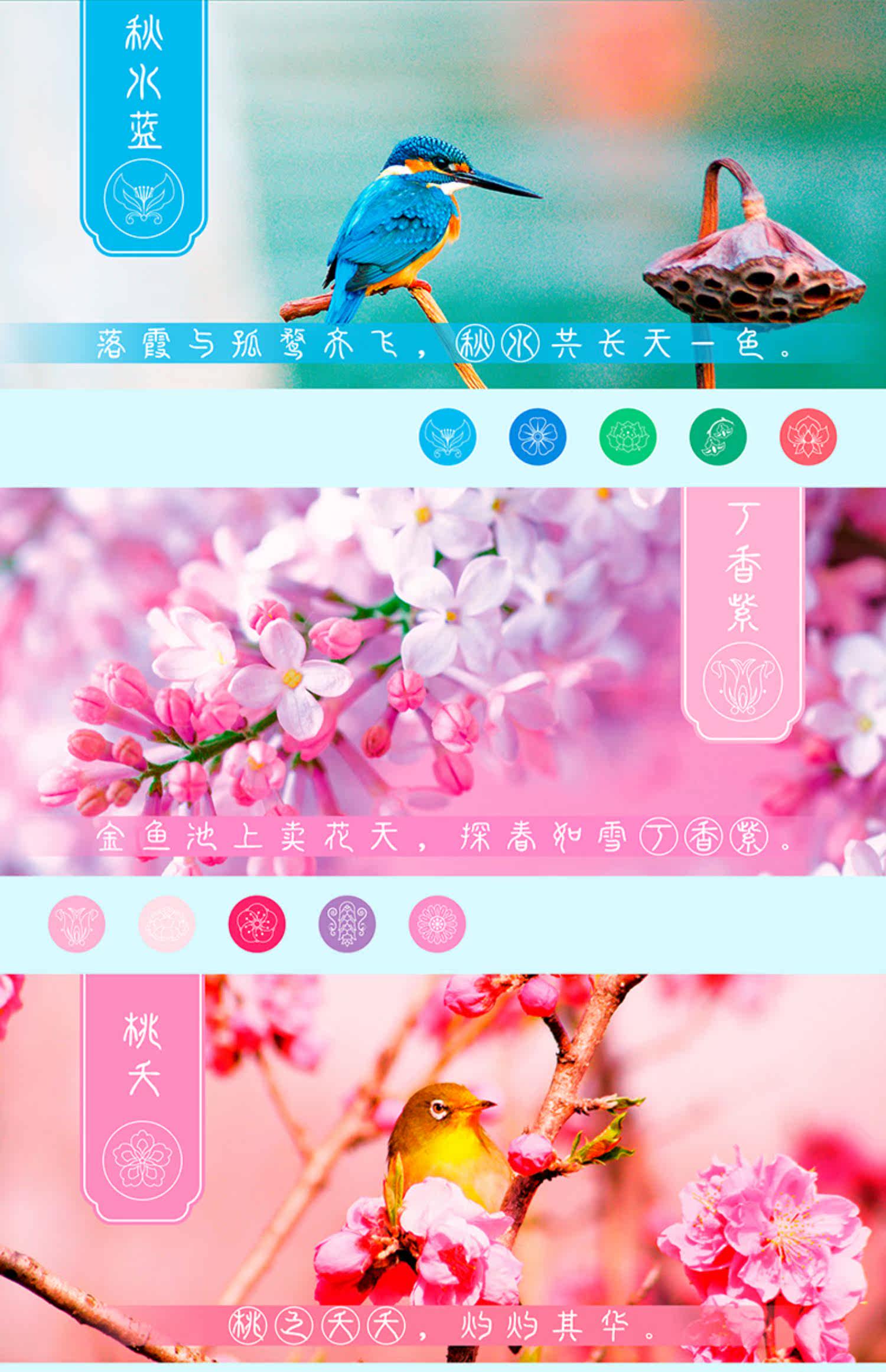 Масляная пастель 【活动推荐】飞乐鸟|廿四节气国色油画棒涂色礼盒套装 美纹胶刮刀盒装线稿视频教程绘画专用72色 Feile birds