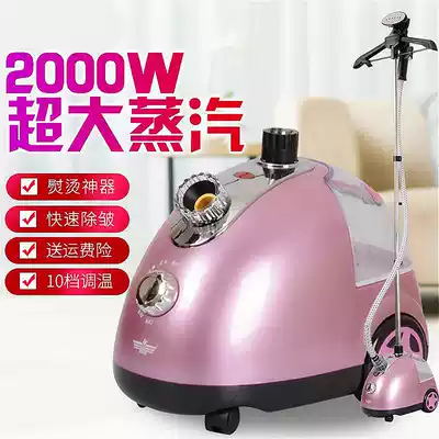 Steam iron double rod with plate hanging ironing machine household small steam double pole high power iron hot clothes High Power