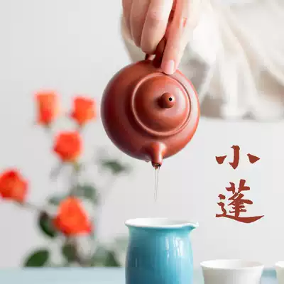 Xuan Tong asked Tea Xiaopeng Red Mud Lotus Seed Pot