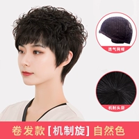 Quanzhen Hair-Curly Hair-Natural Color