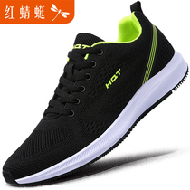 Red Dragonfly Mens Shoes Running Tourist Shoes Mens Breathable Light Sports Casual Shoes Deodorant Summer Nets Shoes Summer Brands