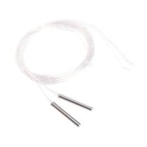 4mm x30mm RTD Platinums Resistance Temperature 2 Wires