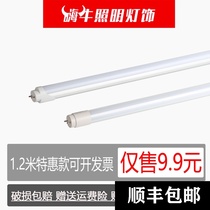 LED fluorescent lamp single tube Bracket 1 2 meters home super bright long strip light stick tube school garage 24V110V