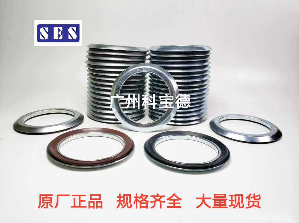 SES RE 55*75*5 58*5 5 STEFA RB motor dust resistance axial oil seal