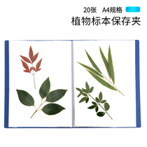 Plant hernion clip collection book tree leaves dried flower diy save embossing student making clip tool biological photo album