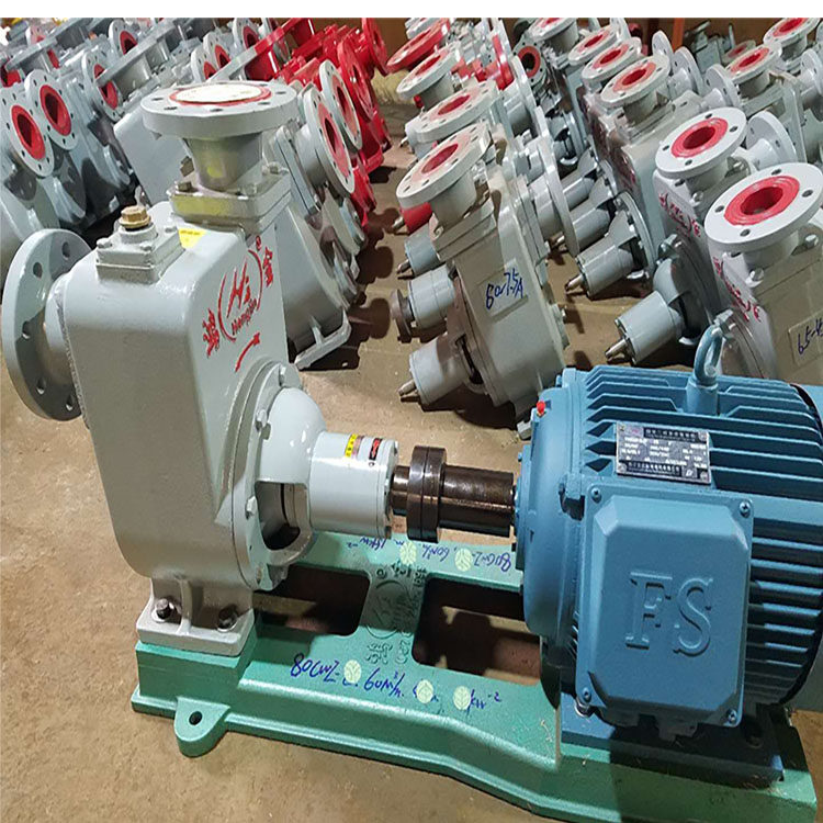 Marine CWZ series self-priming centrifugal pump fire pump sewage pump ballast bilge pump Taizhou Hongjin Pump Industry CCS