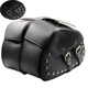 Qianjiang Rongguang 202 Longjia V Tu 250 Prince Edward Xe máy Side Bag Bag Bag Đầu máy Sửa đổi Túi yên - Xe máy Rider thiết bị