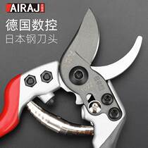 Pruning scissors Japanese steel knife head cutting branches pruning fruit tree flower shears garden gardening pruning scissors tool