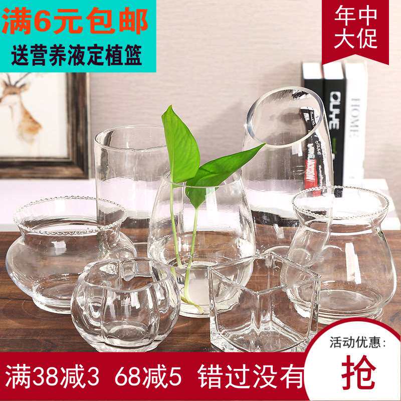 Type of glass vase for copper-money grass Chien about small and clear new glass vase transparent hydropony flower pot hydroponic gold Ge plant