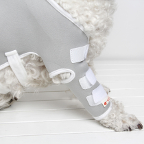  Ji Zaizi pet protective gear Dog leggings Knee pads Auxiliary wrap Leggings Postoperative protective cover for injuries