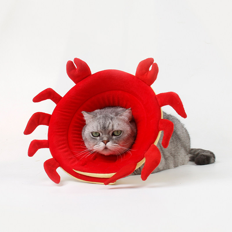 Guitzai pet supplies Elizabeth Protective ring Puppy Anti-biting Cat Shame Soft Cloth Shield