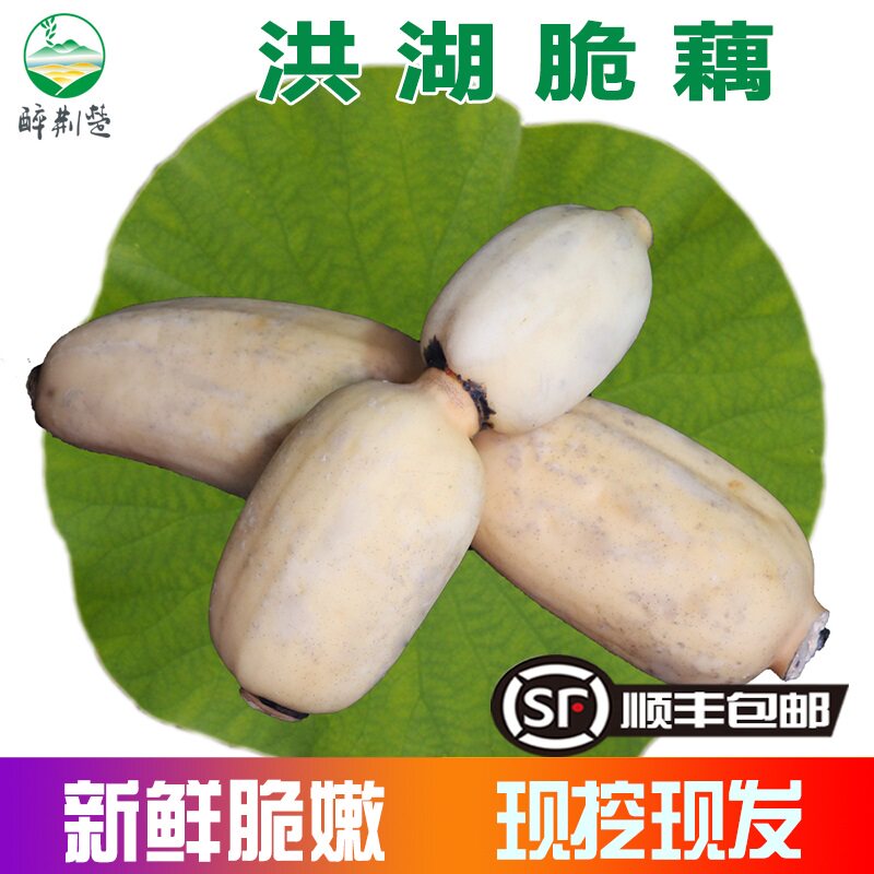 Hubei Lian Lotus Root Lake Crisp Lotus Root Fresh And Fried Fruit Lotus Root to make new fresh and tender vegetable water lotus root when it is clear and fried fruit lotus root