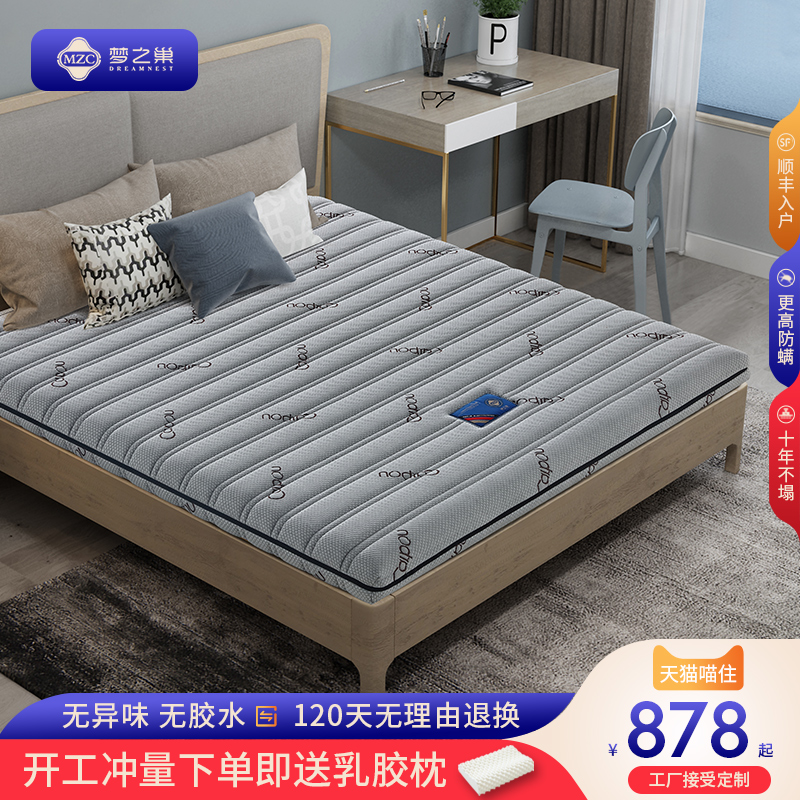 Dream Nest Natural Coconut Palm Mat Soft and Hard Dual-Use Palm Customized Tatami Folding