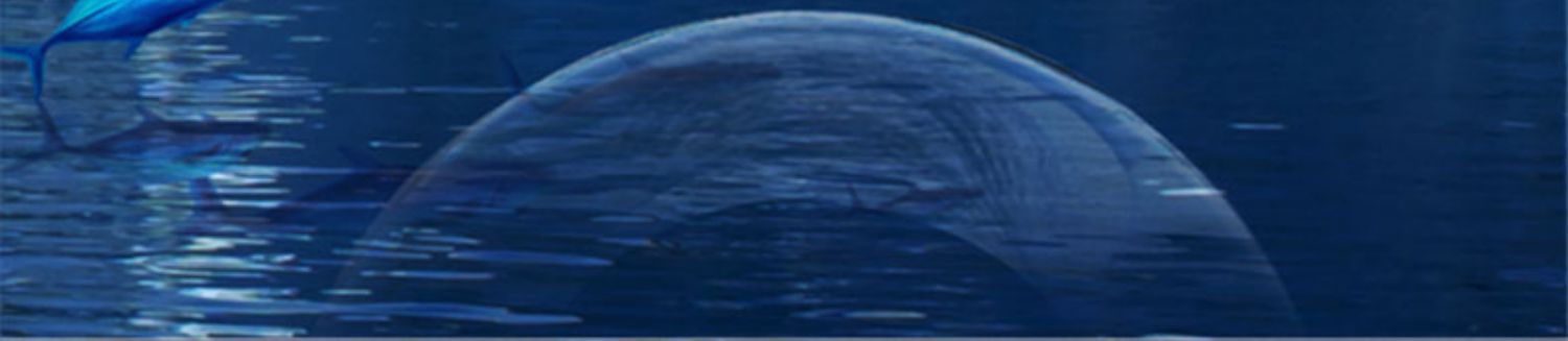 【拍2件】Noromega挪威深海DHA鱼油软胶囊