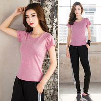 Professional yoga suit suit womens short-sleeved harem pants summer sports running quick-drying clothes gym large size loose