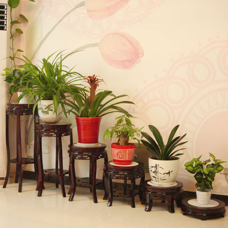 Solid wood, marble miniascape of multilayer frame antique flower wearing Chinese style ready chlorophytum balcony orchid tank base