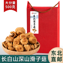 Northeast slippery mushroom dried goods 500g slippery mushroom slippery mushroom dried goods bags in the Northeast specialty gift box