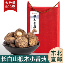 Northeast shiitake dried goods 500g non-special wild bulk raw linden wood selection grade footless small shiitake mushrooms to eat