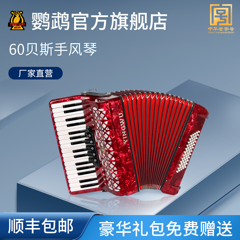 Parrot card MINI 823 accordion 34 keys 60 bass Adult professional assays for the beginnics playing instruments
