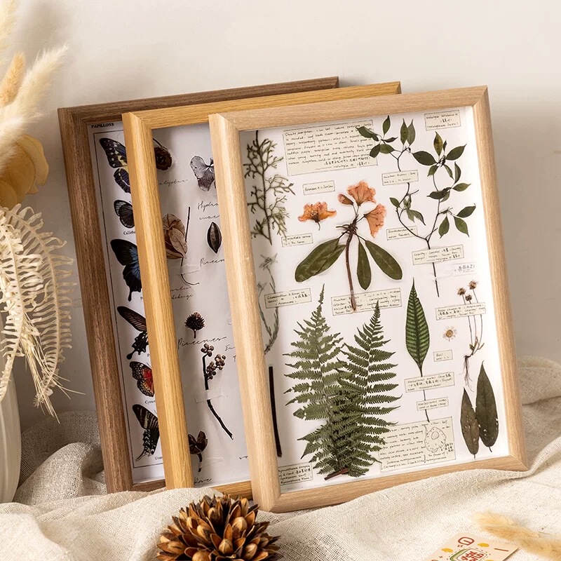 Hollow Three-Dimensional Photo Frame Plant Specimen Frame Fruit Handmade DIY Dried Flowers Butterfly Insect Leaf Display Frame