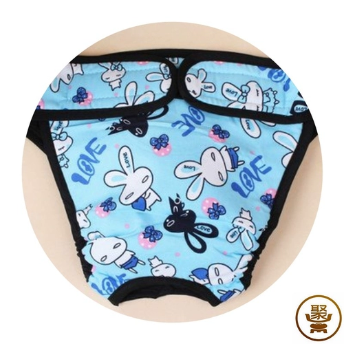 Моча мочи домашних собак без влажных брюк под нижнее белье.