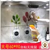 Товары от 简森活旗舰店