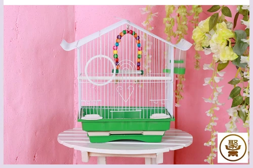 Тигр пион попугай для птичьей клетки Текст птица клетки маленькая птичья клетка дом птичья клетка для пит -птицы бесплатная доставка