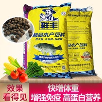 Wanghai Qunfeng California bass compound feed wholesale high protein bass special pellet feed fish food fish food