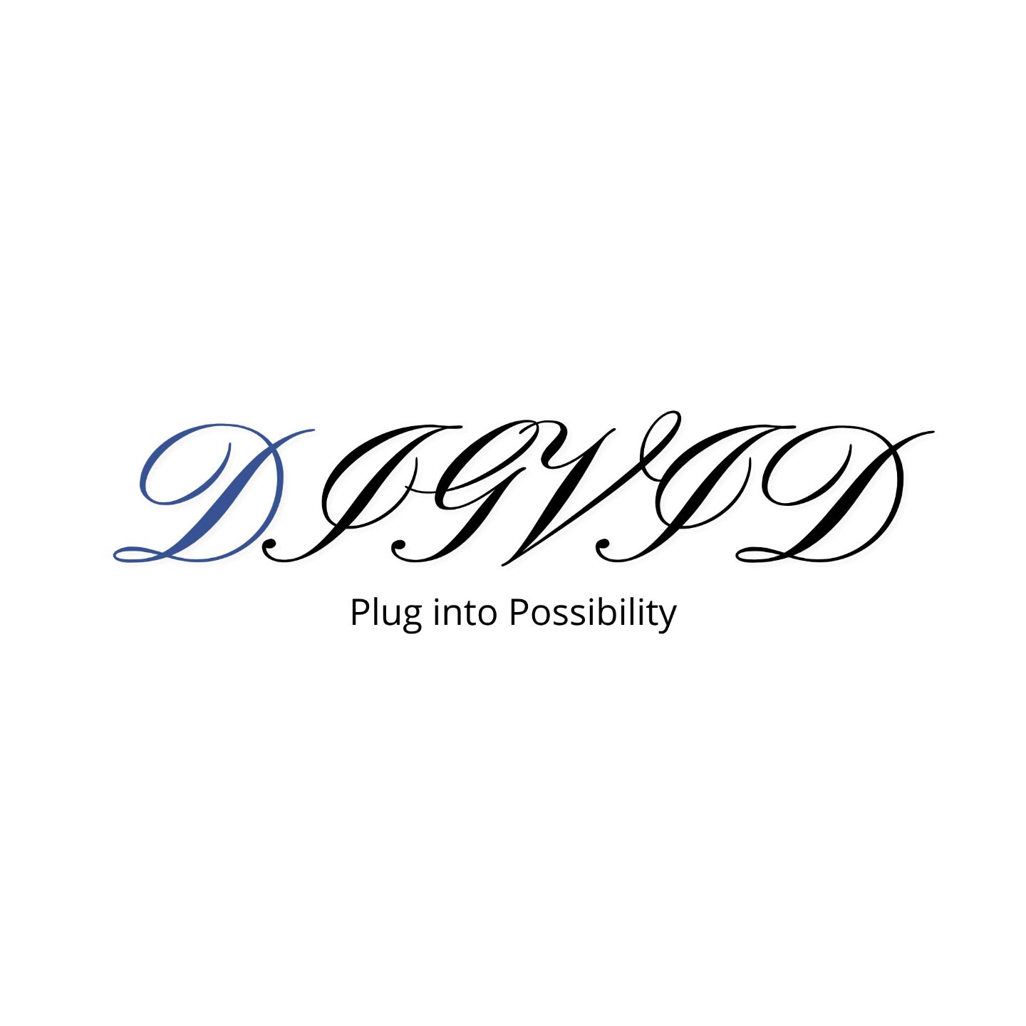DIGVID
