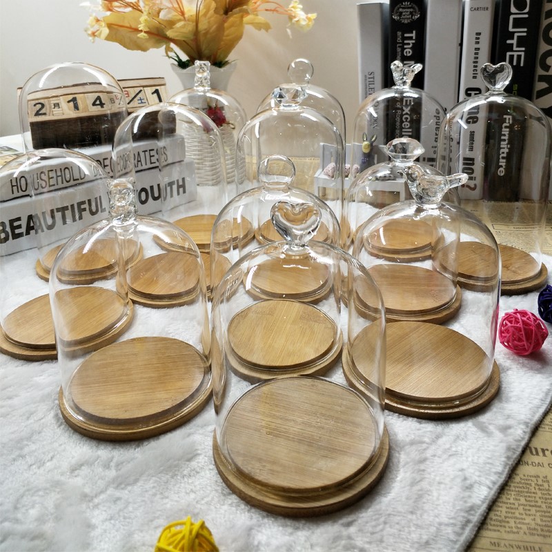 Dried flower diy immortal flower glass decoration micro-view about atmospheric high-end art display box office dust cover