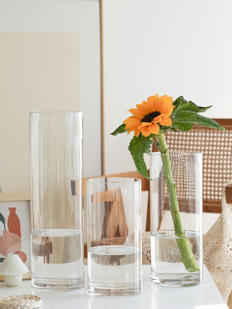 Vase Fittings Living Room Flower Transparent Glass Nordic High-end Creative Drunk Water Bamboo Flower Digital Large Large