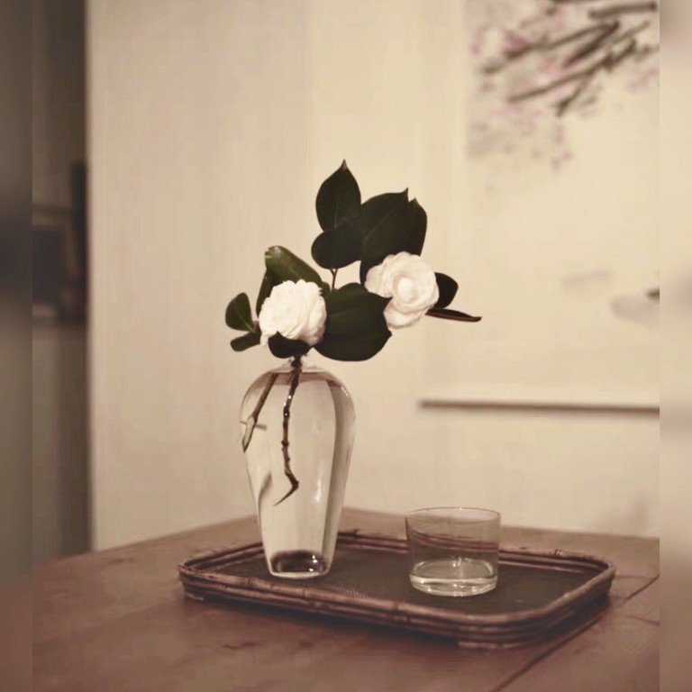 High-quality, high-transparency, Zen flower art, transparent glass, high-end creative decoration, tea room plum vase, jade net bottle