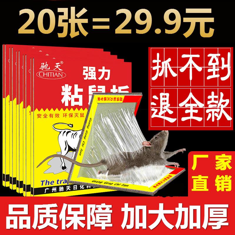 Mouse gel powerful sticky rat plate stickler for rat deity Medicated Grip Household Rats step up thickening of a nest end large plate