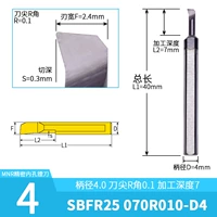 SBFR25 070R010-D4