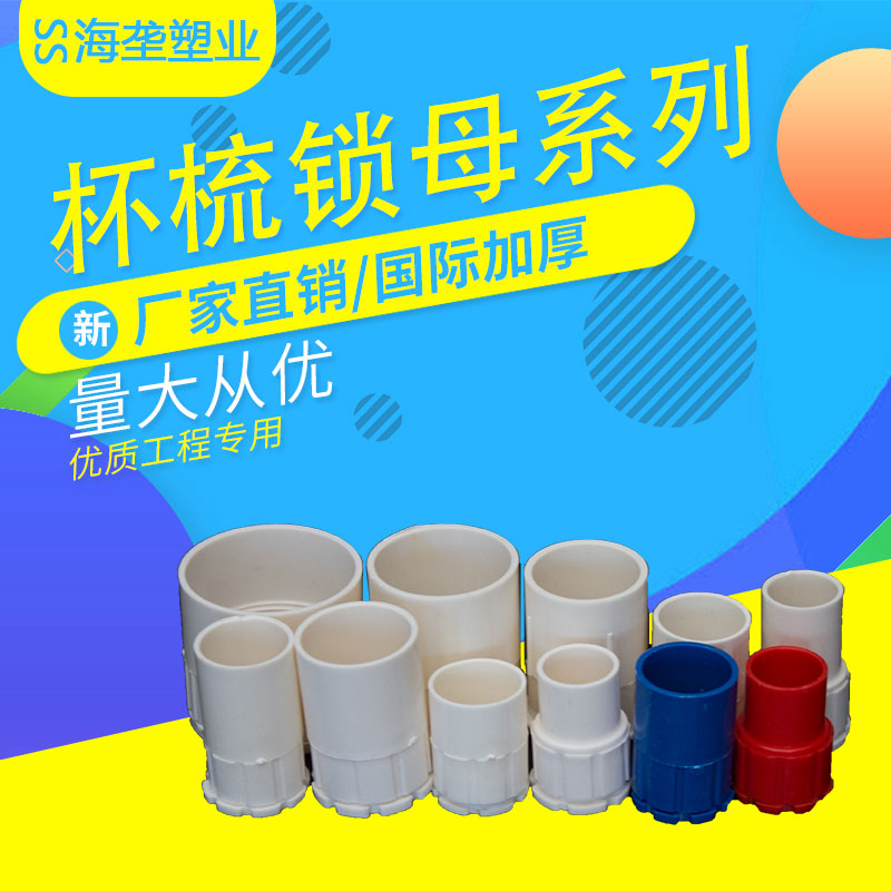 Wire pipe fittings PVC wire pipe cups comb lock mother joint dark case lock 16 16 20 20 32 32 40 50 boxed