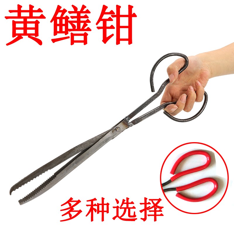 Stainless steel lengthened yellow eel clamp mud loach clamp crab pliers anti-slip clamp snake to catch seafood fish and shrimp crab control fish