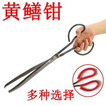 Stainless steel lengthened yellow eel clamp mud loach clamp crab pliers anti-slip clamp snake to catch seafood fish and shrimp crab control fish